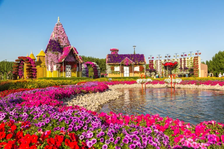 miracle garden 3